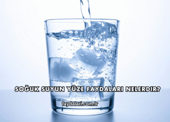 Soğuk Suyun Yüze Faydaları Nelerdir?