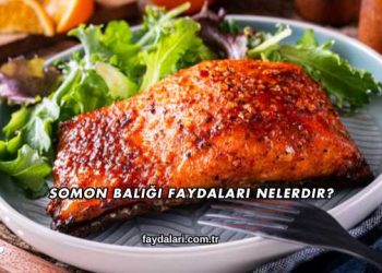 Somon Balığı Faydaları Nelerdir?