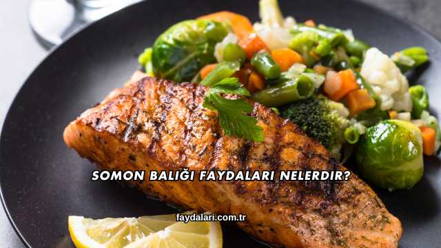Somon Balığı Faydaları Nelerdir?