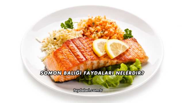 Somon Balığı Faydaları Nelerdir?