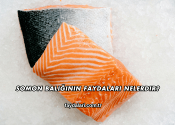 Somon Balığının Faydaları Nelerdir?