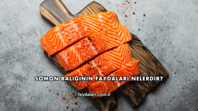 Somon Balığının Faydaları Nelerdir?