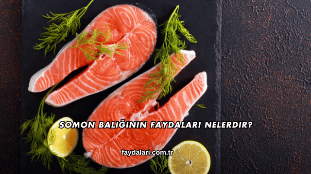 Somon Balığının Faydaları Nelerdir?