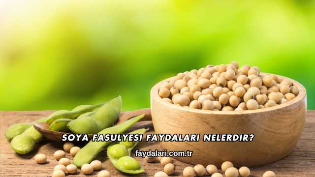 Soya Fasulyesi Faydaları Nelerdir?