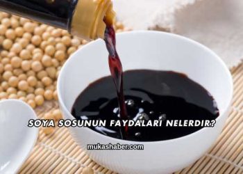 Soya Sosunun Faydaları Nelerdir?