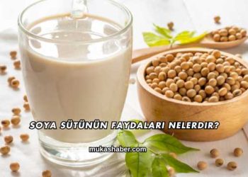 Soya Sütünün Faydaları Nelerdir?