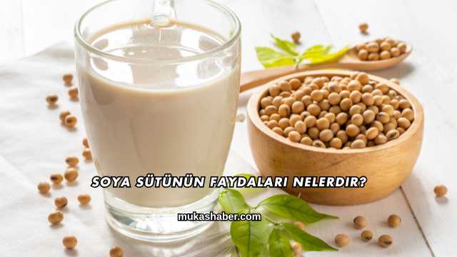 Soya Sütünün Faydaları Nelerdir?