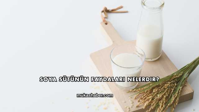Soya Sütünün Faydaları Nelerdir?
