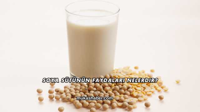 Soya Sütünün Faydaları Nelerdir?