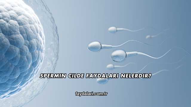 Spermin Cilde Faydaları Nelerdir?