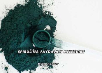 Spirulina Faydaları Nelerdir?