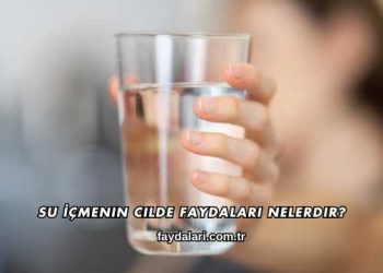 Su İçmenin Cilde Faydaları Nelerdir?