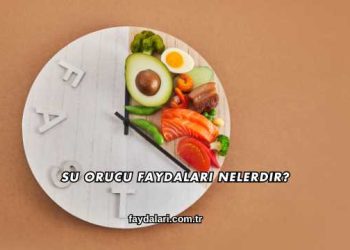 Su Orucu Faydaları Nelerdir?