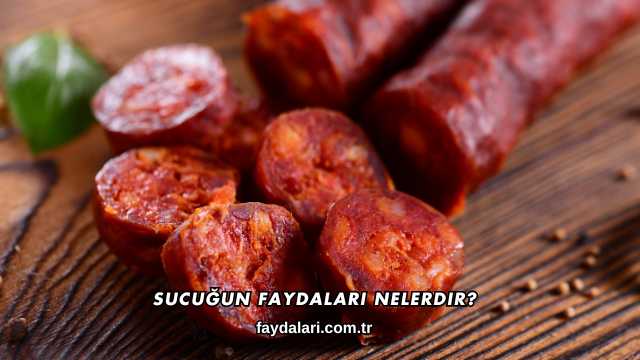 Sucuğun Faydaları Nelerdir?
