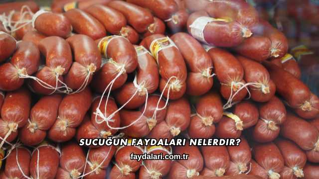 Sucuğun Faydaları Nelerdir?