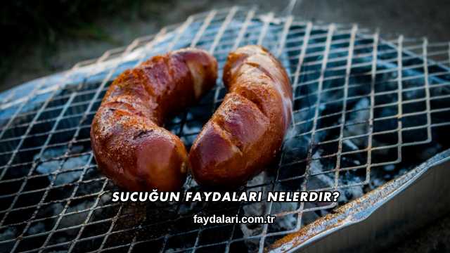 Sucuğun Faydaları Nelerdir?