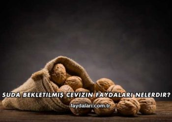 Suda Bekletilmiş Cevizin Faydaları Nelerdir?