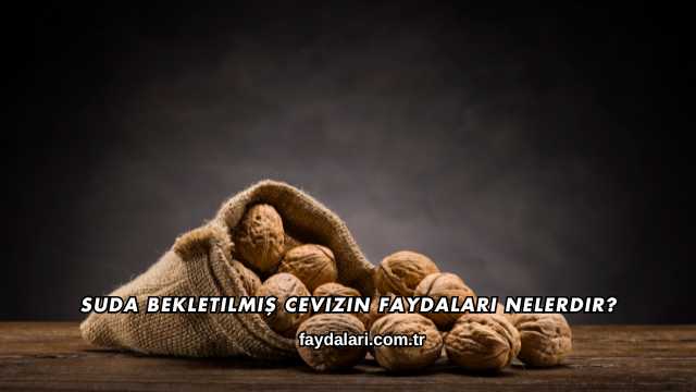 Suda Bekletilmiş Cevizin Faydaları Nelerdir?