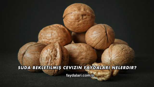 Suda Bekletilmiş Cevizin Faydaları Nelerdir?