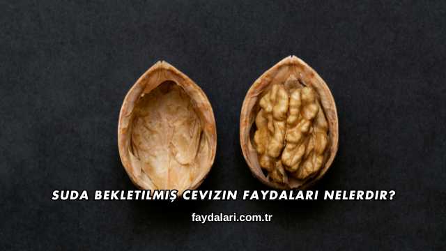 Suda Bekletilmiş Cevizin Faydaları Nelerdir?