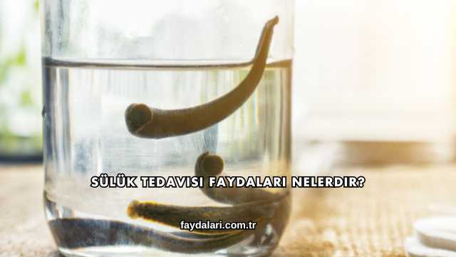 Sülük Tedavisi Faydaları Nelerdir?