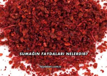 Sumağın Faydaları Nelerdir?