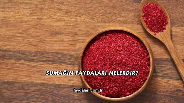 Sumağın Faydaları Nelerdir?