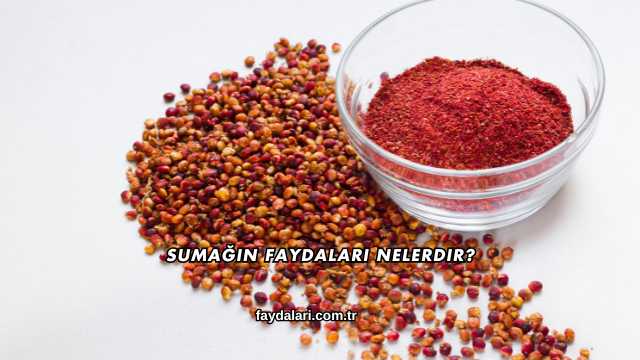 Sumağın Faydaları Nelerdir?