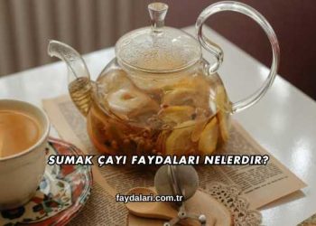 Sumak Çayı Faydaları Nelerdir?