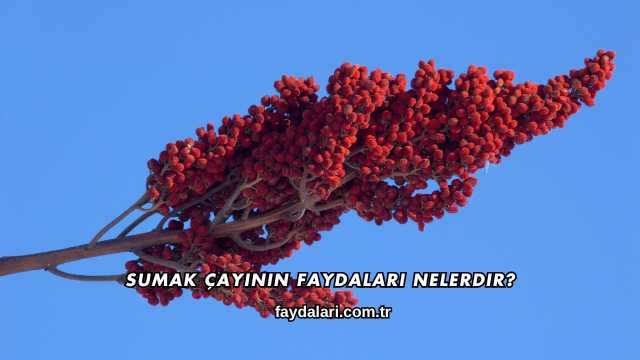 Sumak Çayının Faydaları Nelerdir?