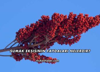 Susam Yağının Saça Faydaları Nelerdir?