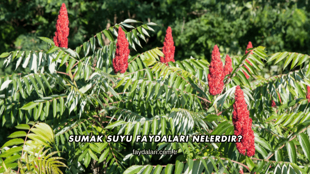 Sumak Suyu Faydaları Nelerdir?