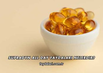 Supradyn All Day Faydaları Nelerdir?