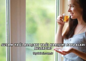 Susam Yağı Adaçayı Yağı Karışımı Faydaları Nelerdir?