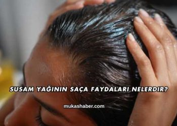 Sumak Ekşisinin Faydaları Nelerdir?