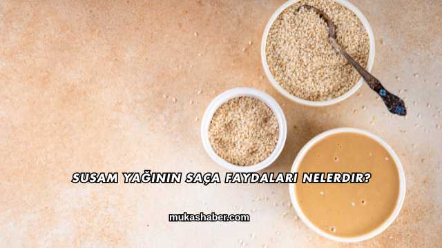 Sumak Ekşisinin Faydaları Nelerdir?