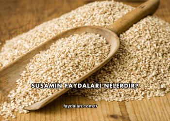 Susamın Faydaları Nelerdir?