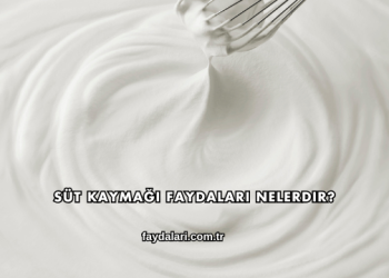 Süt Kaymağı Faydaları Nelerdir?