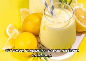 Süt Limon Karışımı Faydaları Nelerdir?