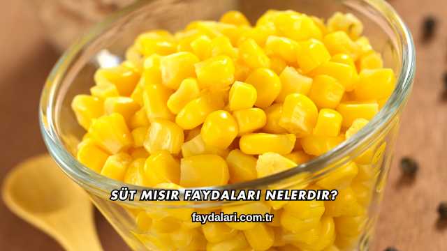 Süt Mısır Faydaları Nelerdir?