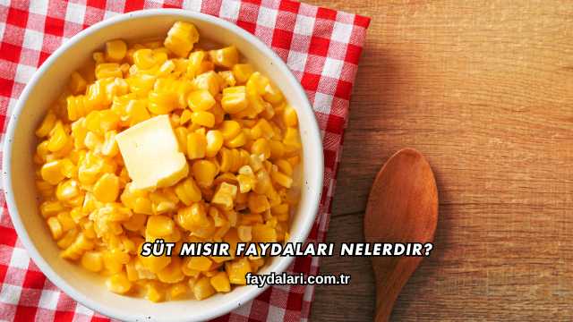 Süt Mısır Faydaları Nelerdir?