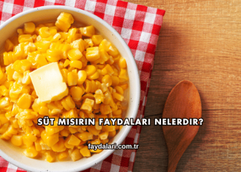 Süt Mısırın Faydaları Nelerdir?
