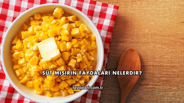 Süt Mısırın Faydaları Nelerdir?