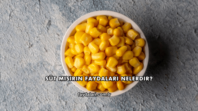 Süt Mısırın Faydaları Nelerdir?