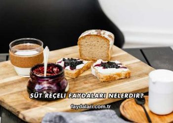 Süt Reçeli Faydaları Nelerdir?