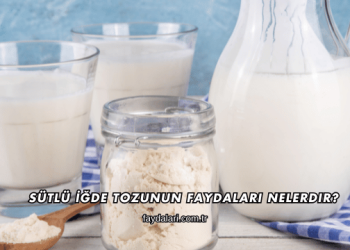 Sütlü İğde Tozunun Faydaları Nelerdir?