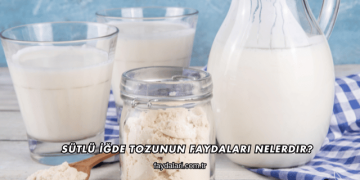 Sütlü İğde Tozunun Faydaları Nelerdir?