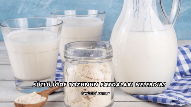 Sütlü İğde Tozunun Faydaları Nelerdir?