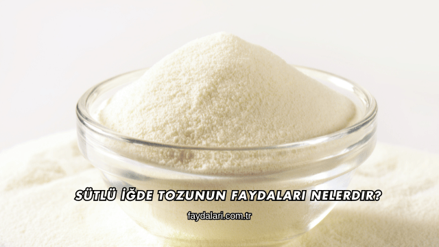 Sütlü İğde Tozunun Faydaları Nelerdir?