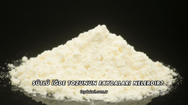 Sütlü İğde Tozunun Faydaları Nelerdir?